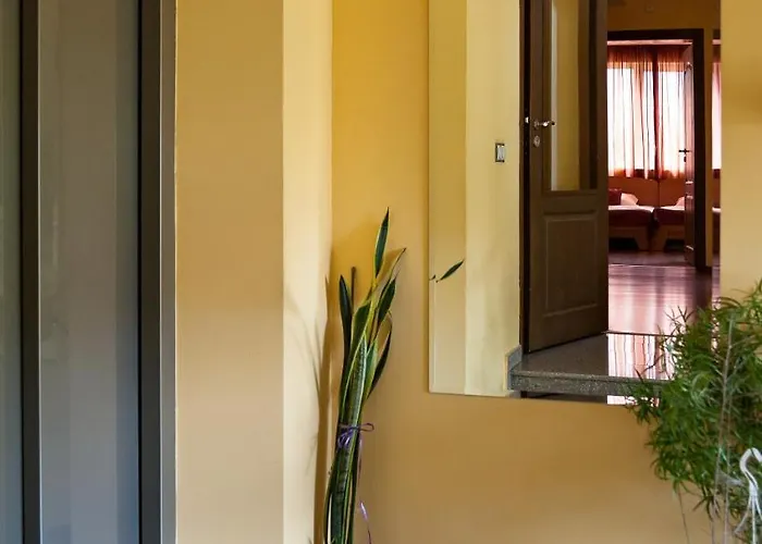 Family Gerdjika 普罗夫迪夫